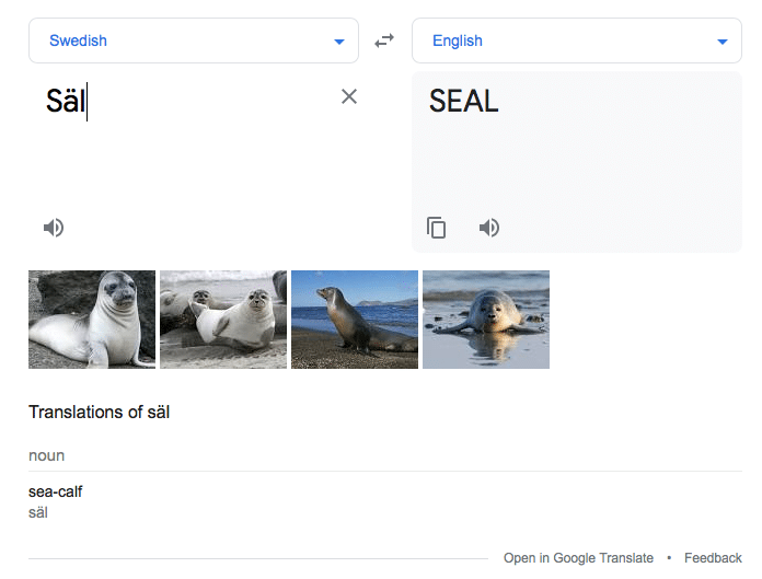 Google Translate English to Swedish 4