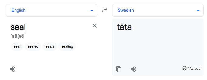 Google Translate English to Swedish