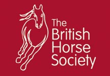 Small Logo