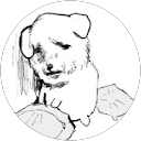 Jimin Kim profile picture