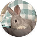 U DAM profile picture